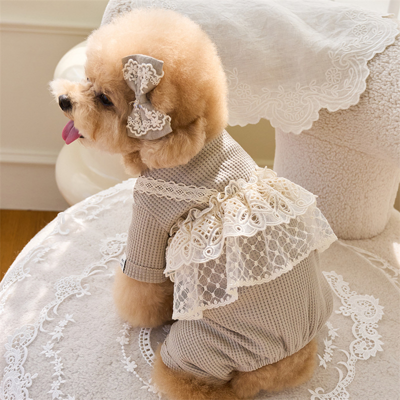 Pet Spring Jumpsuit Cute Lace  - Lace Teddy Lingerie 리뷰 및 가격
