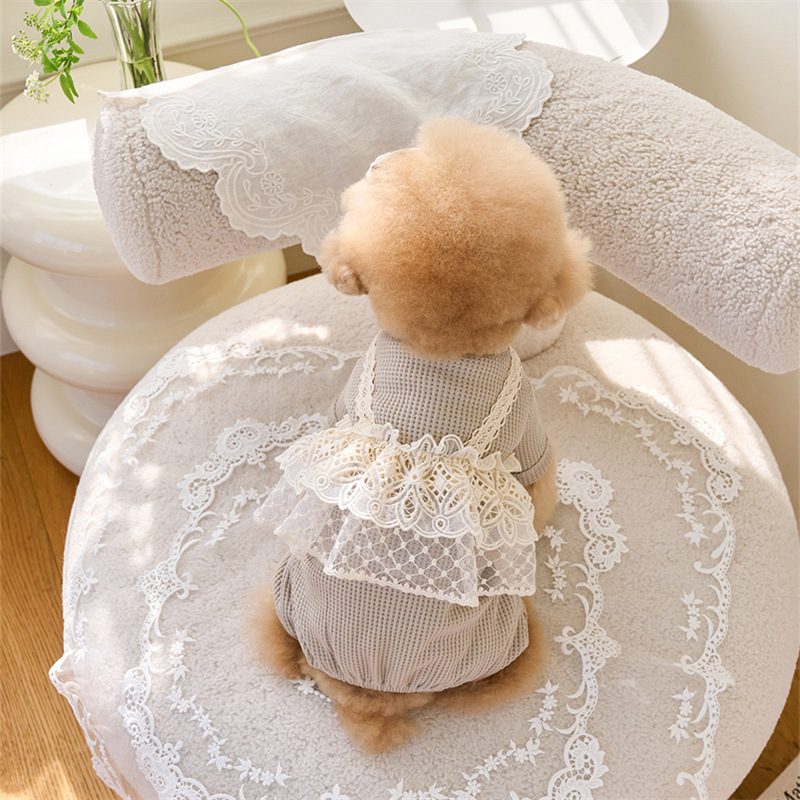 Pet Spring Jumpsuit Cute Lace  - Lace Teddy Lingerie 리뷰 및 가격
