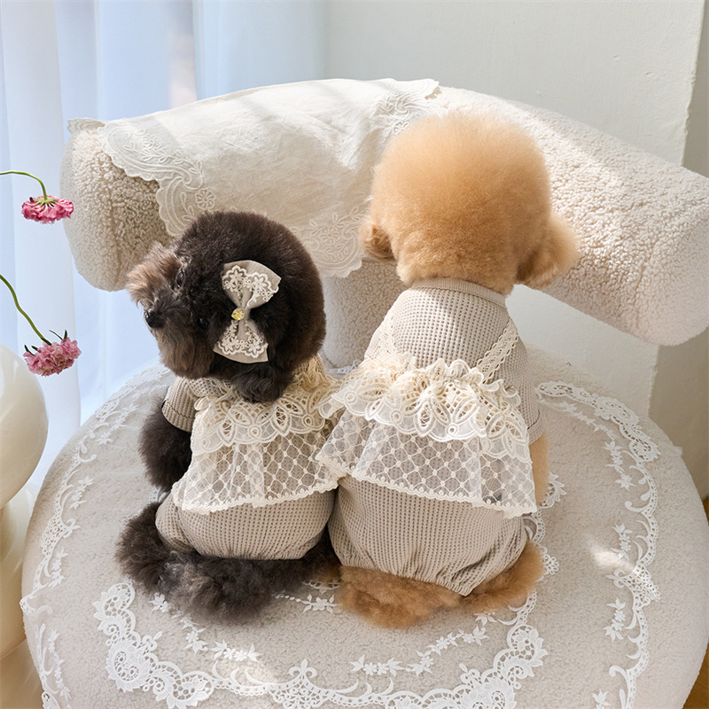 Pet Spring Jumpsuit Cute Lace  - Lace Teddy Lingerie 리뷰 및 가격