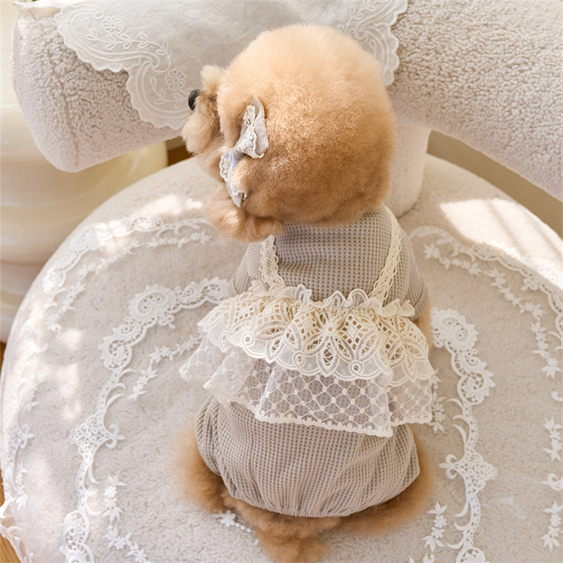 Pet Spring Jumpsuit Cute Lace  - Lace Teddy Lingerie 리뷰 및 가격